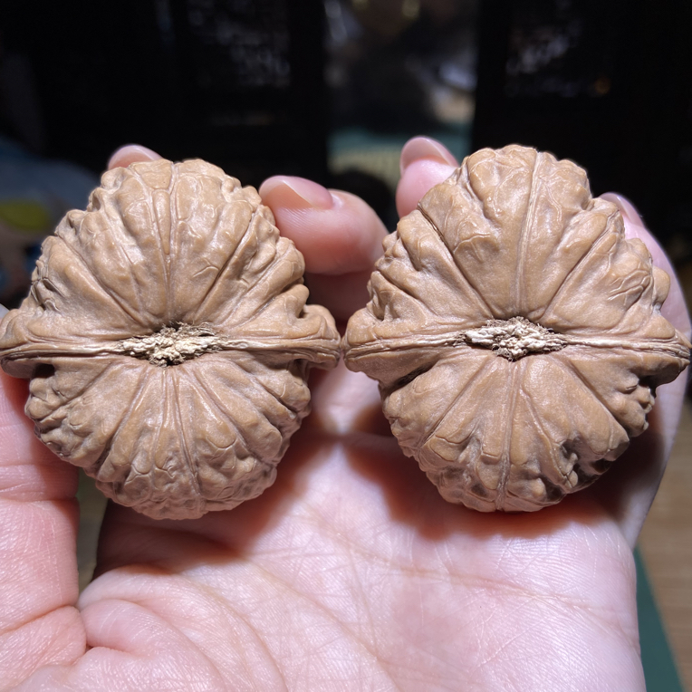 南瓜墩儿精品文玩核桃 47肚45边35高