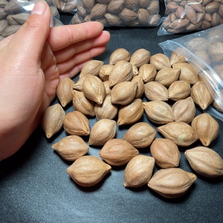 表***哥手串/手链猪牙我是