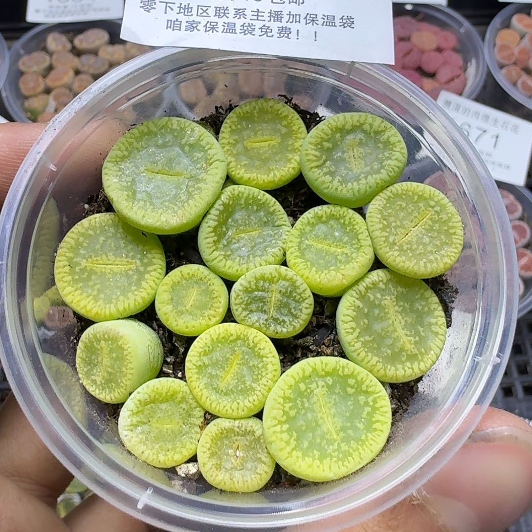 1676 哈哈哈哈哈哈哈哈哈