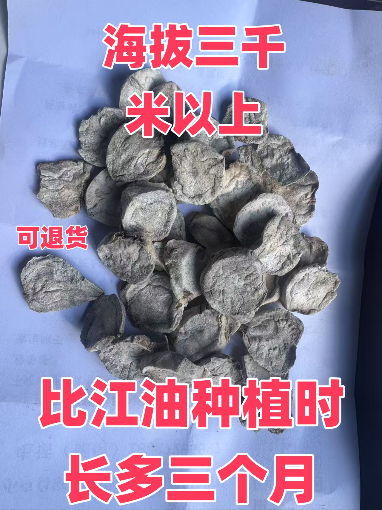 小卢高海拔附子生片炮片无添加