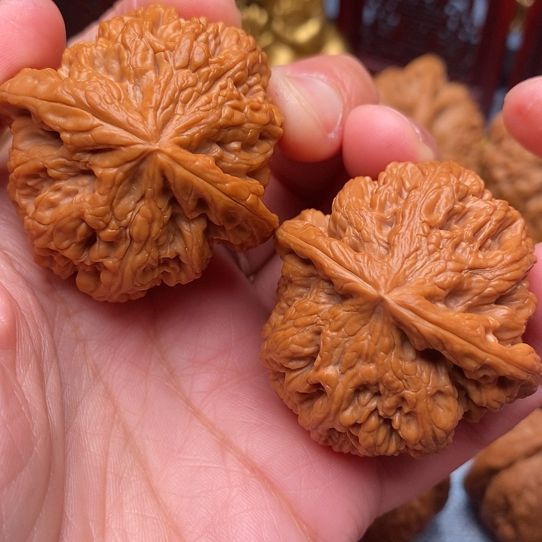 文玩核桃把件全品毕业粗筋42尺