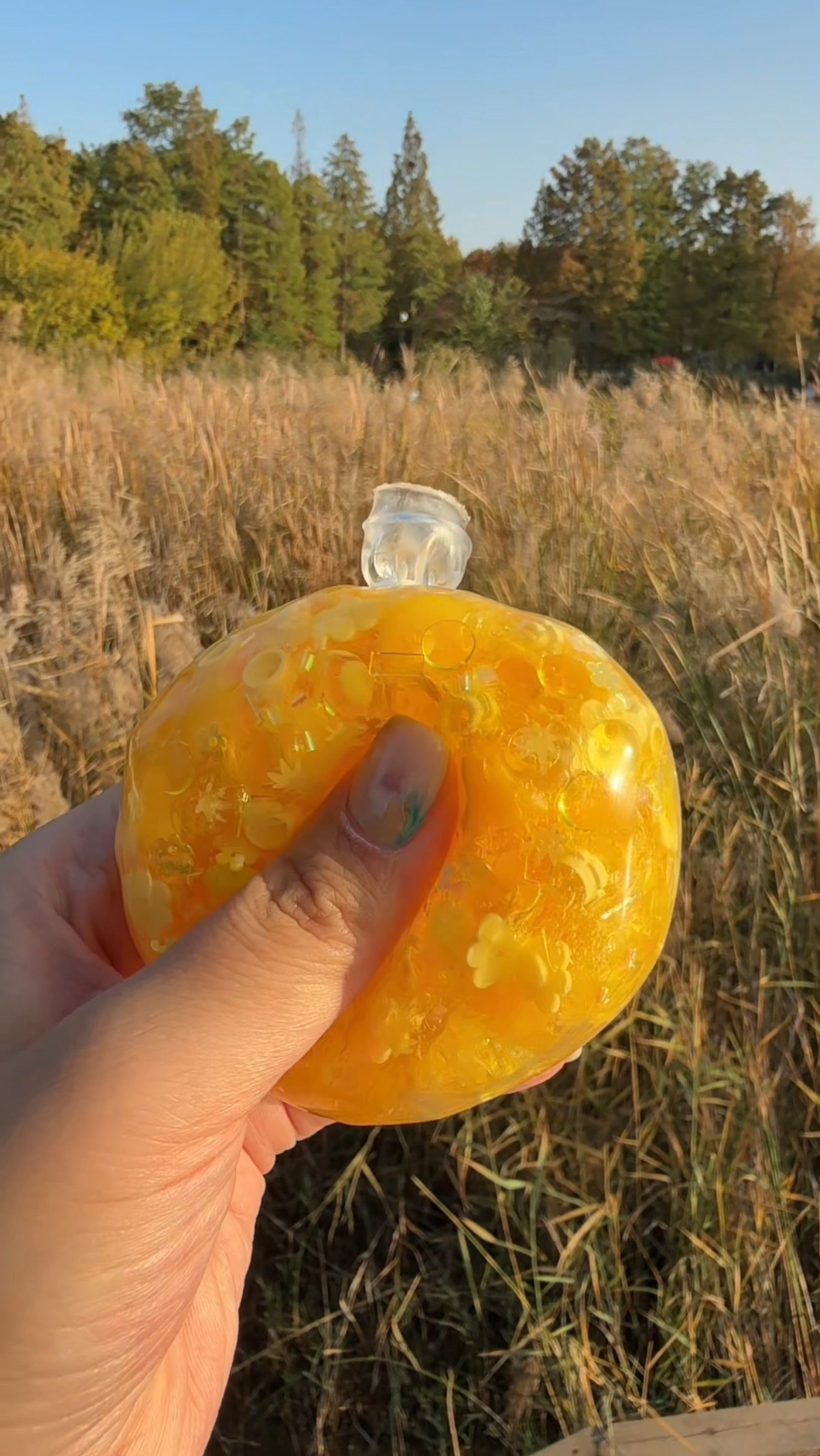 【小黄花】水晶泥捏捏球