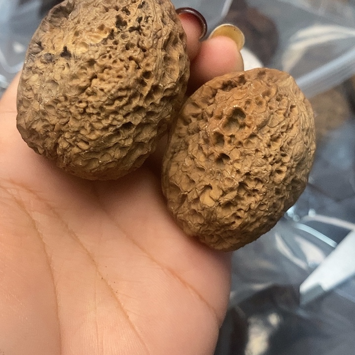 吊坠文玩核桃53号45mm