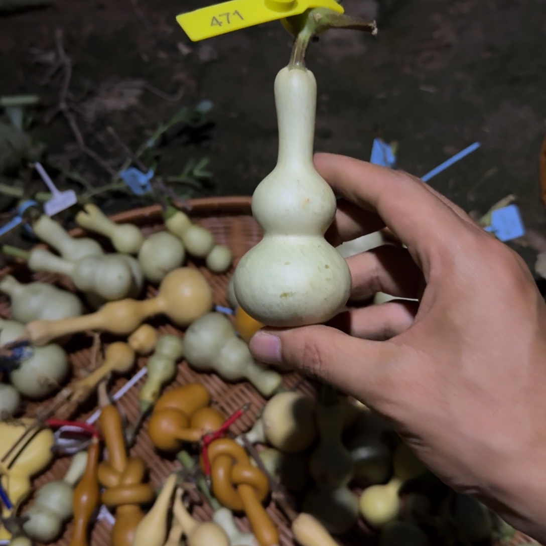 富***蝶发空包一个月下架