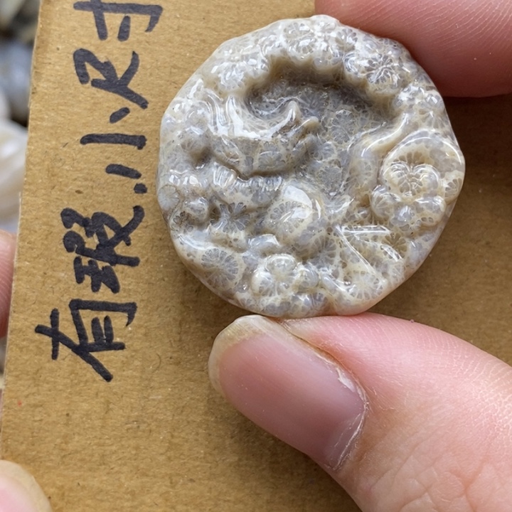 硅化珊瑚（珊瑚玉）未镶嵌颈饰