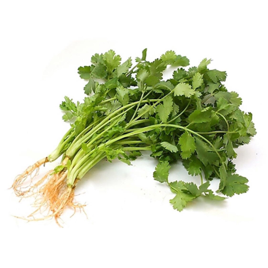 Y新鲜香菜约100g/份