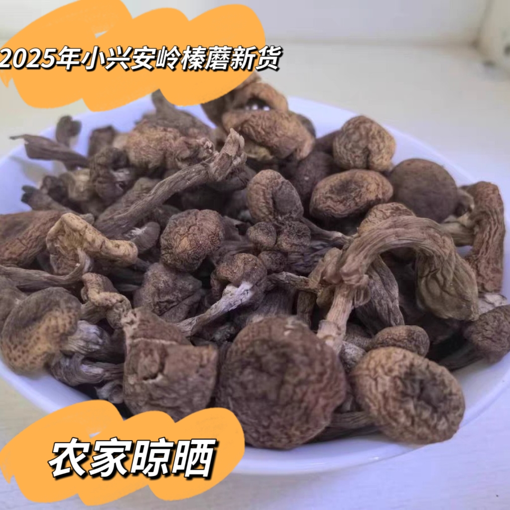 东北特产小兴安岭新货野生榛蘑干货鲜美小鸡炖蘑菇包邮