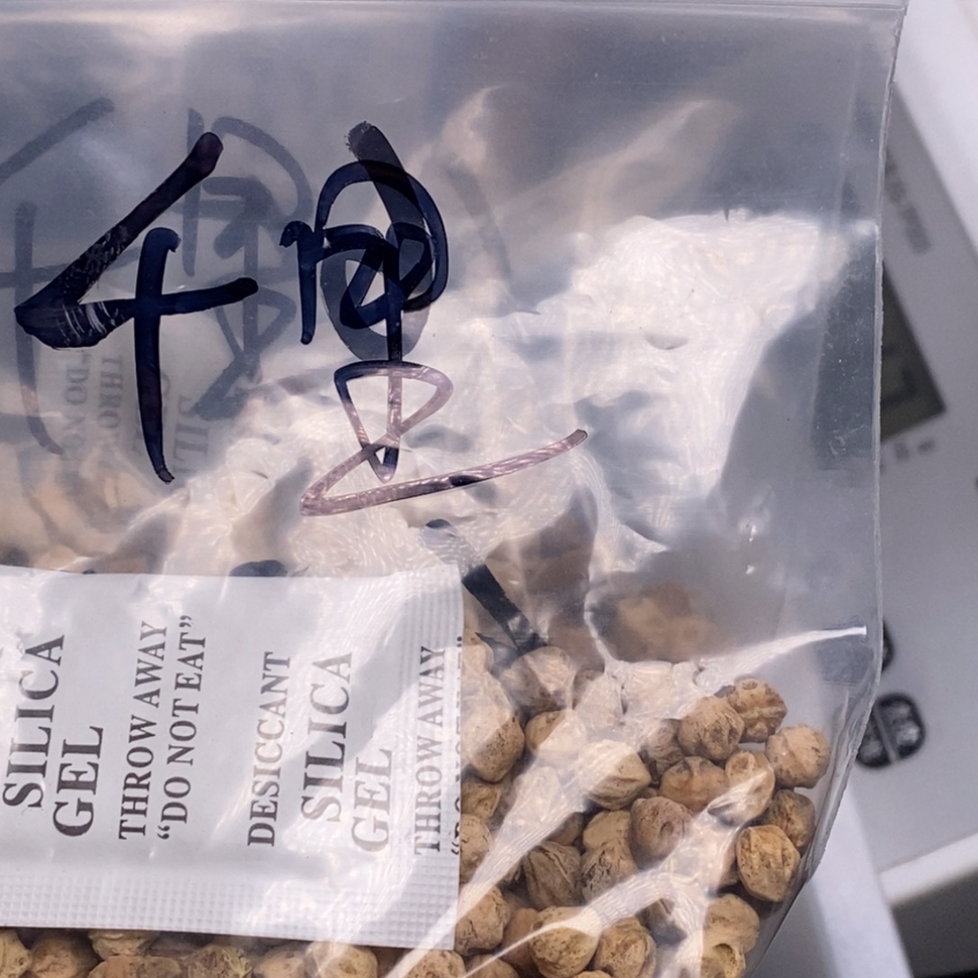 千***行柏香籽/百香籽吊坠