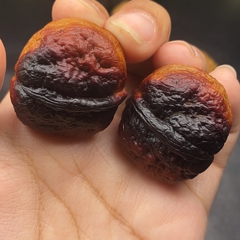 文玩核桃把件36尺肌肉蛙