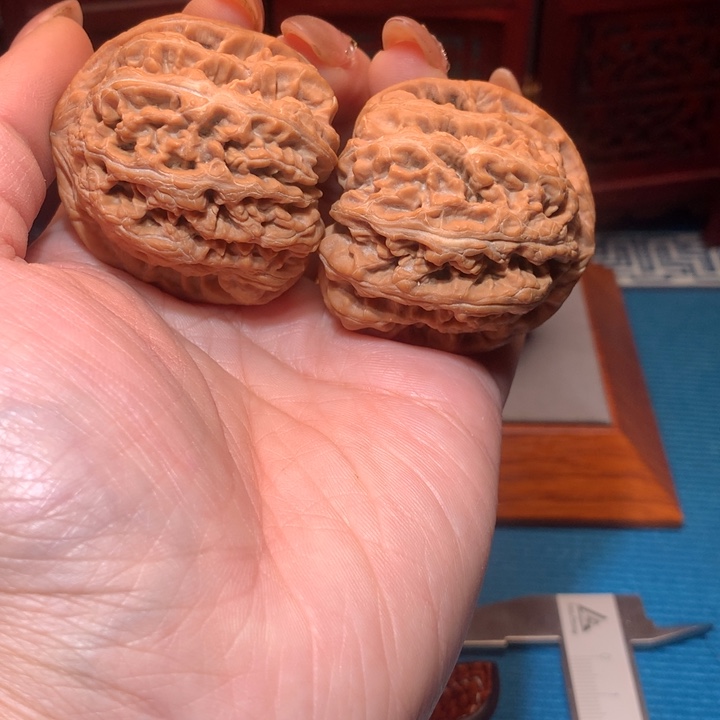 九*岁43全品大粗筋精品精对