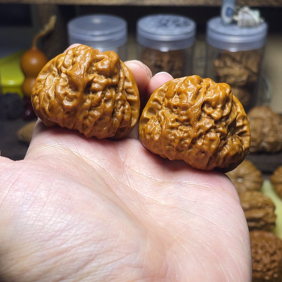 L****44尺蛤蟆头手把123