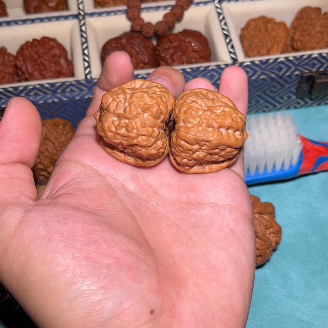 大***晨37全品蛤蟆头核桃核桃