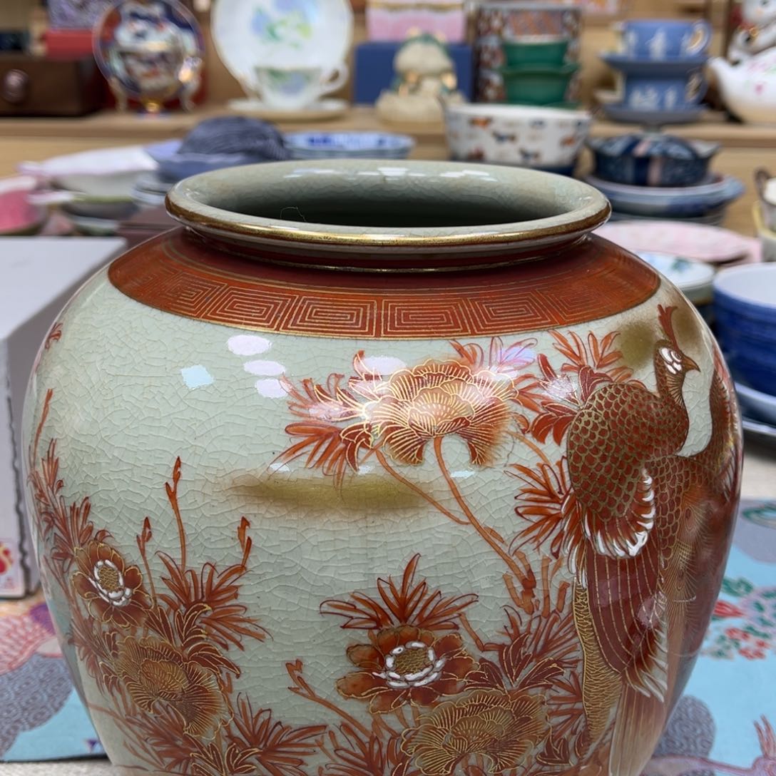 我的姐姐们好可爱