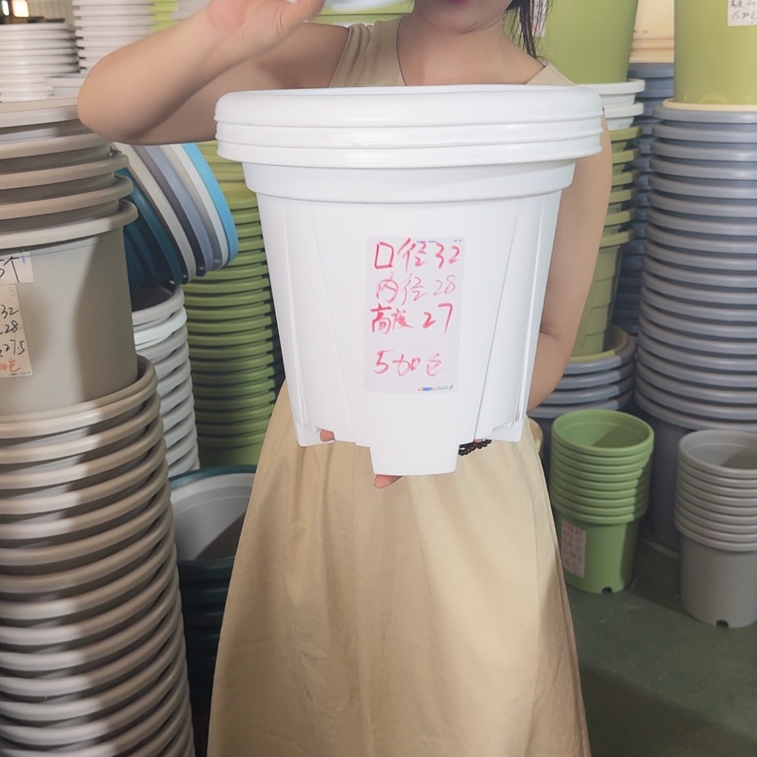 青山5#无拖纯白5个微瑕