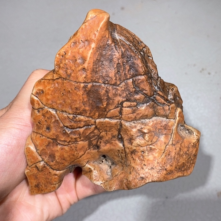 玛瑙/玉髓车挂合金0