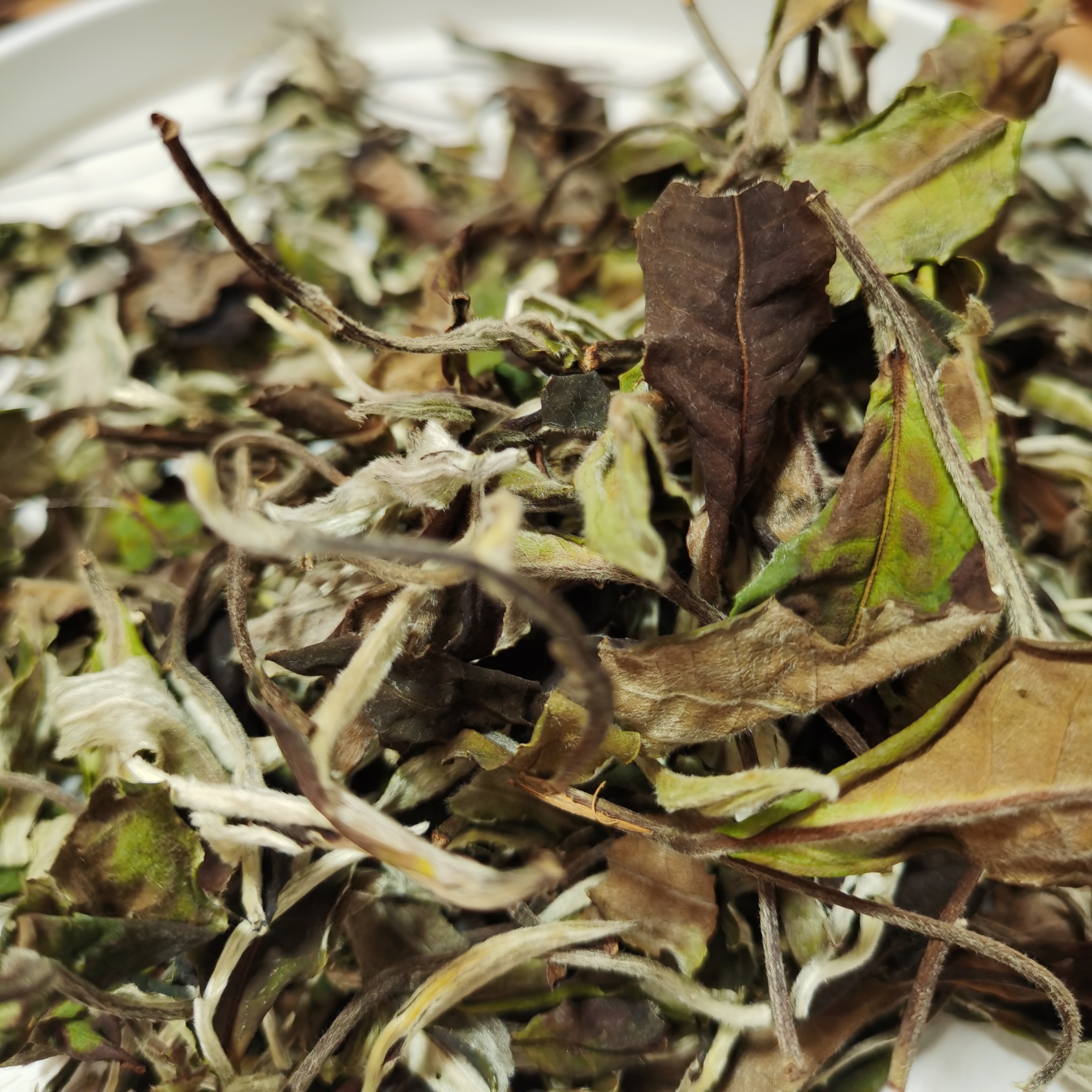 2024年黄草林月光白茶散茶（500g）2月6【23号】