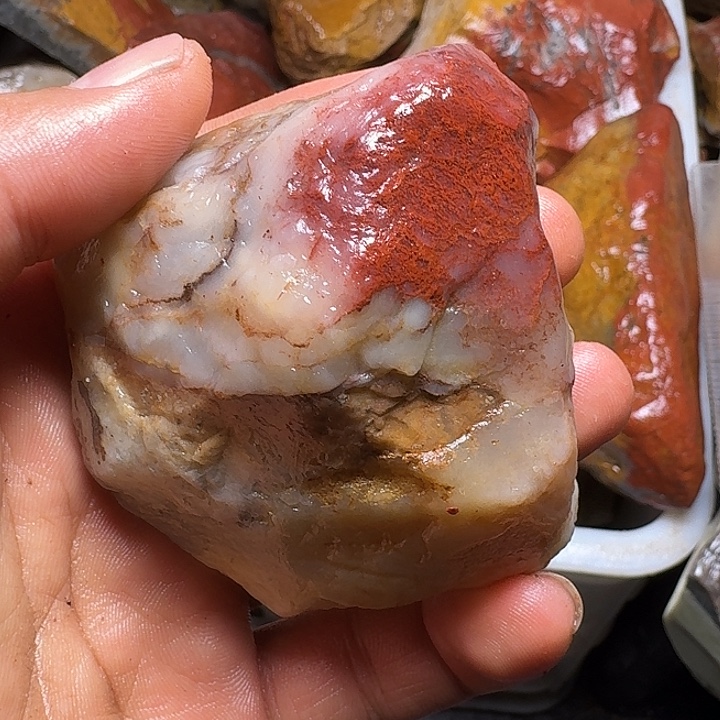 三***七寿山石寿山石的种类