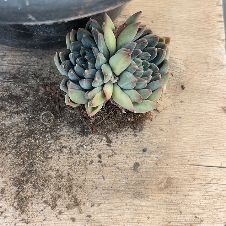 两单包邮，一物一拍迷航