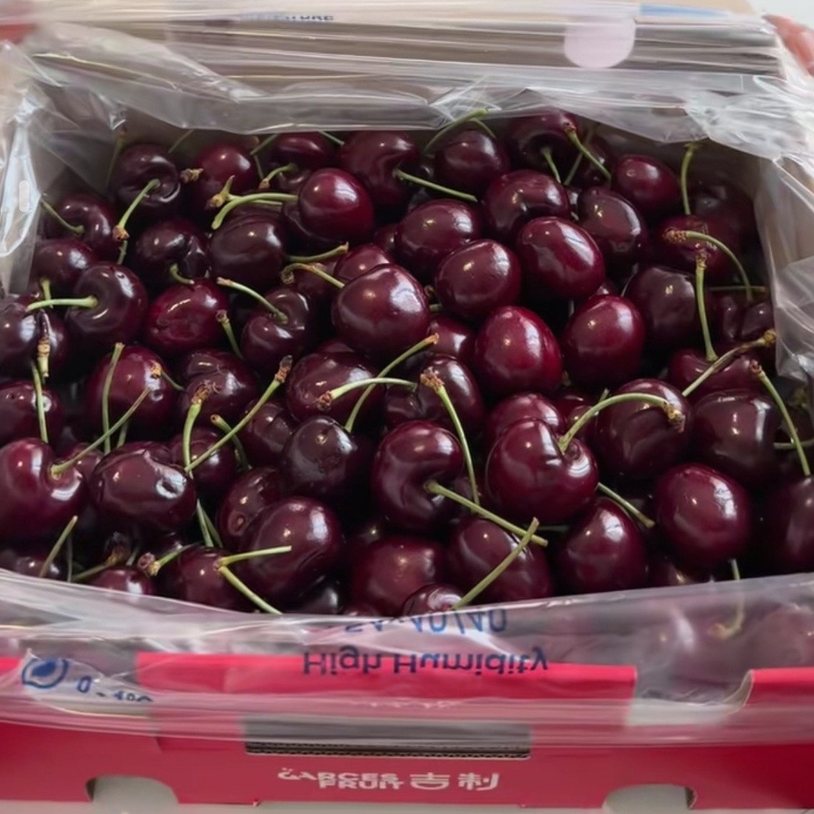 新鲜空运智利进口车厘子JD-5JD（5斤）桑提娜智利