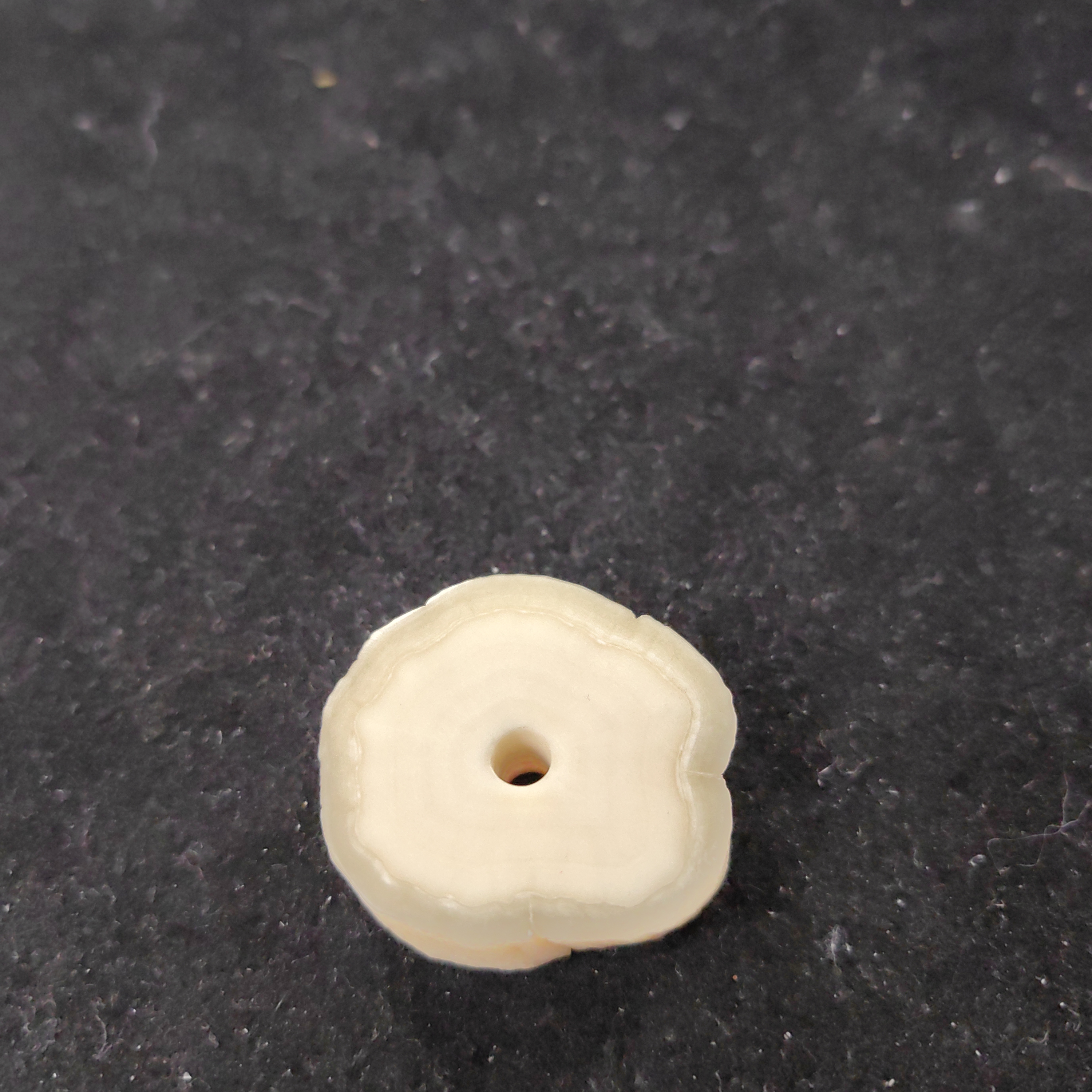 猛犸牙饼子约18.6克YF84