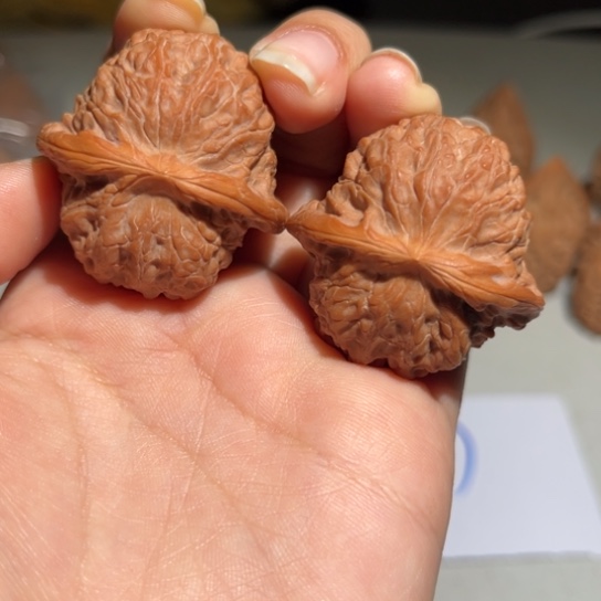 文玩核桃吊坠血麒麟