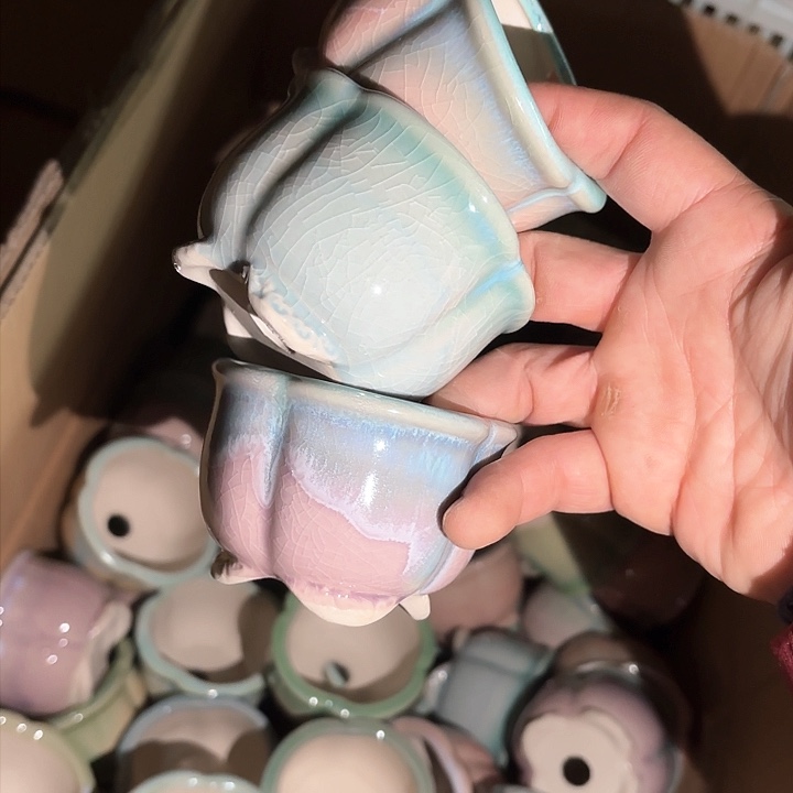 红陶量货｜口高深浅搭配发6