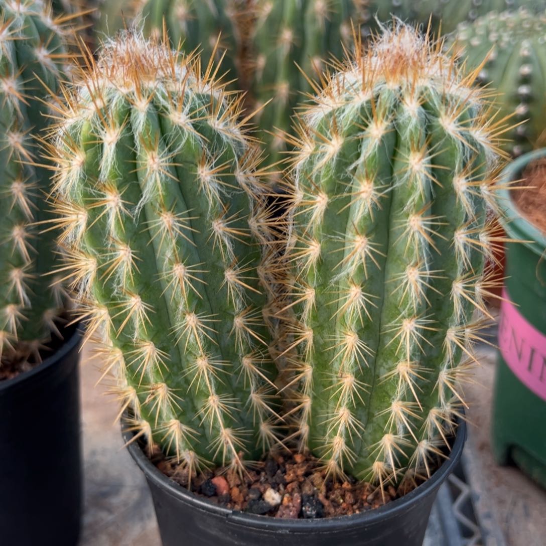 ᜊ***ت零零落落 零零落落