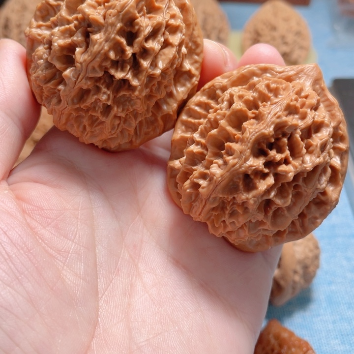 47尺寸大刺文玩核桃