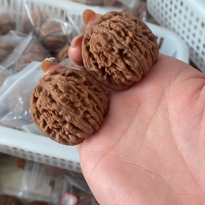 月*四座楼四座楼四座楼