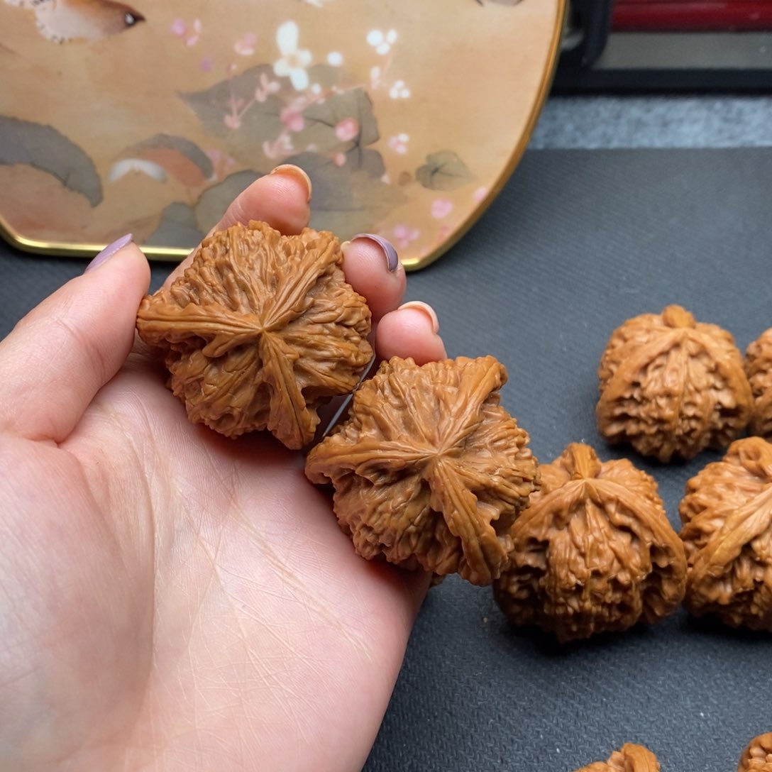 猕****！白狮子1111111111111