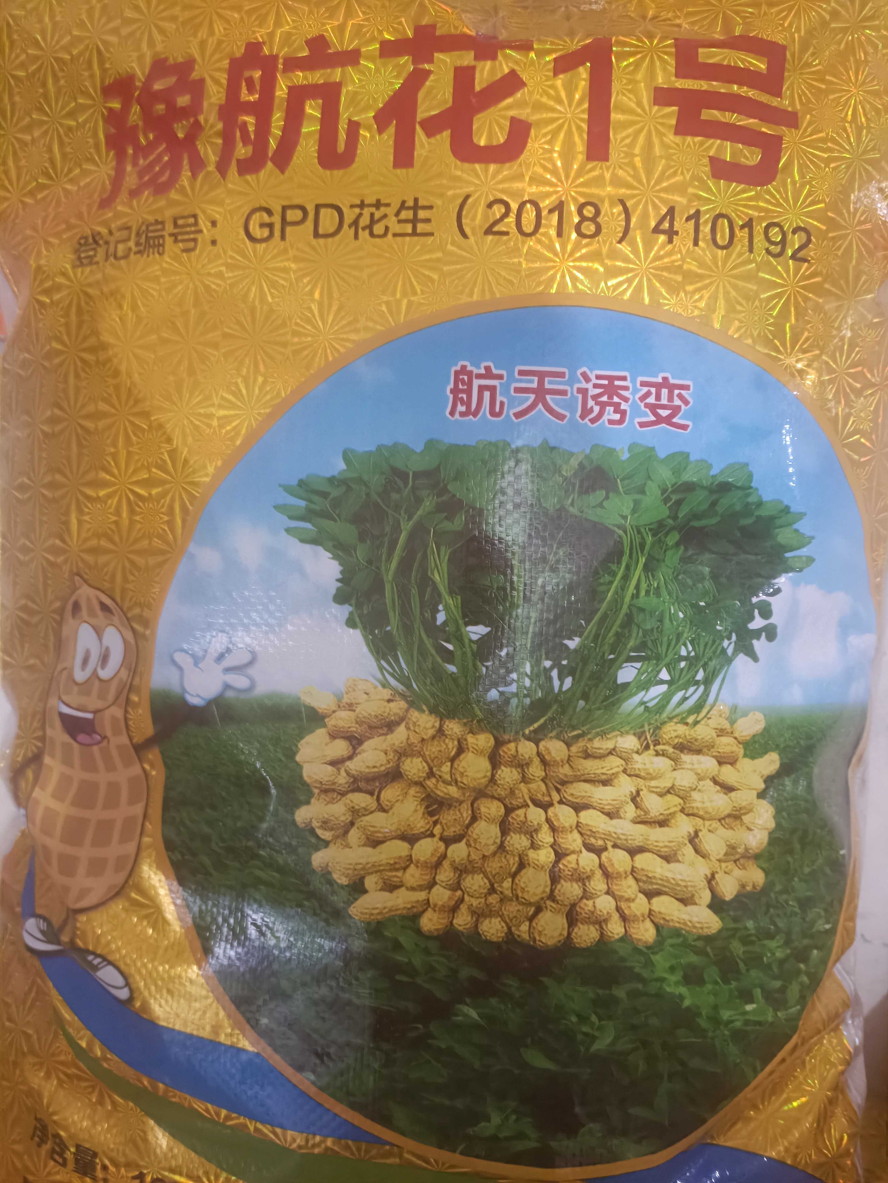花生，豫航花1号，