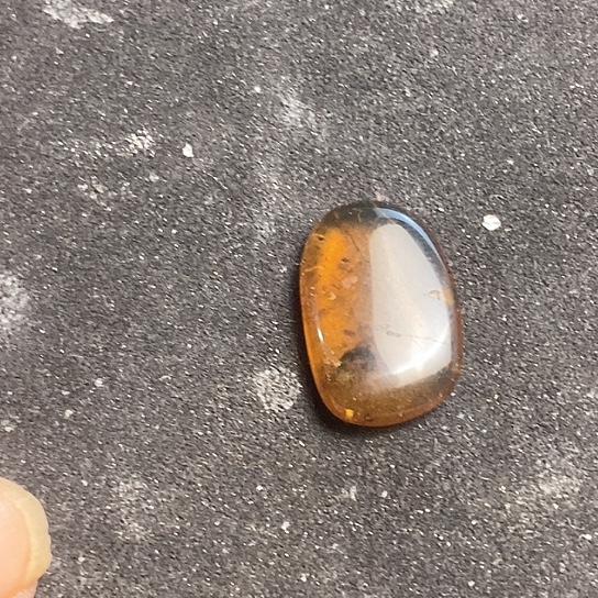 琥珀裸石未镶嵌虫珀