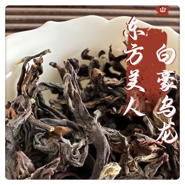 东方美人茶膨风白毫乌龙茶浓香蜜香生态高山手工散装