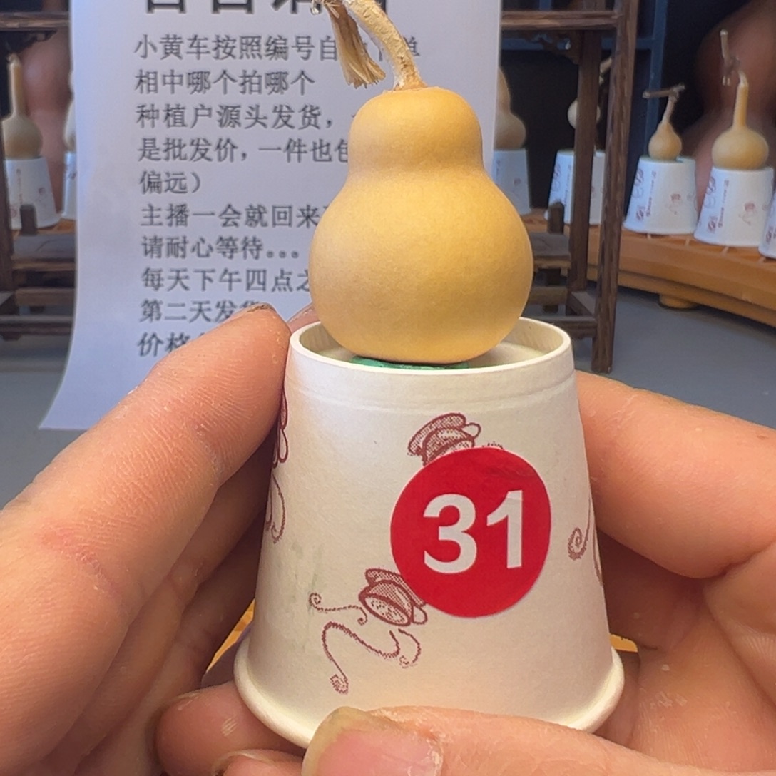 闪电购自助下单编号31