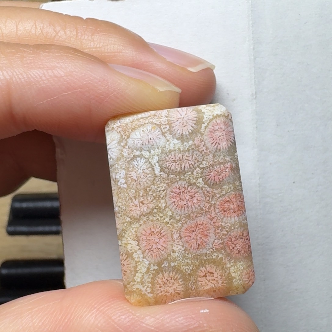 硅化玉初春的花未镶嵌