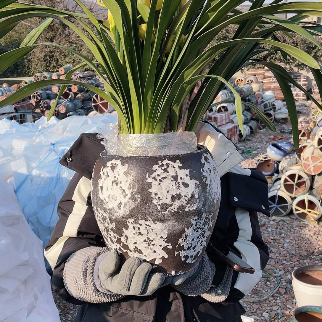 红陶茶几风高25口20