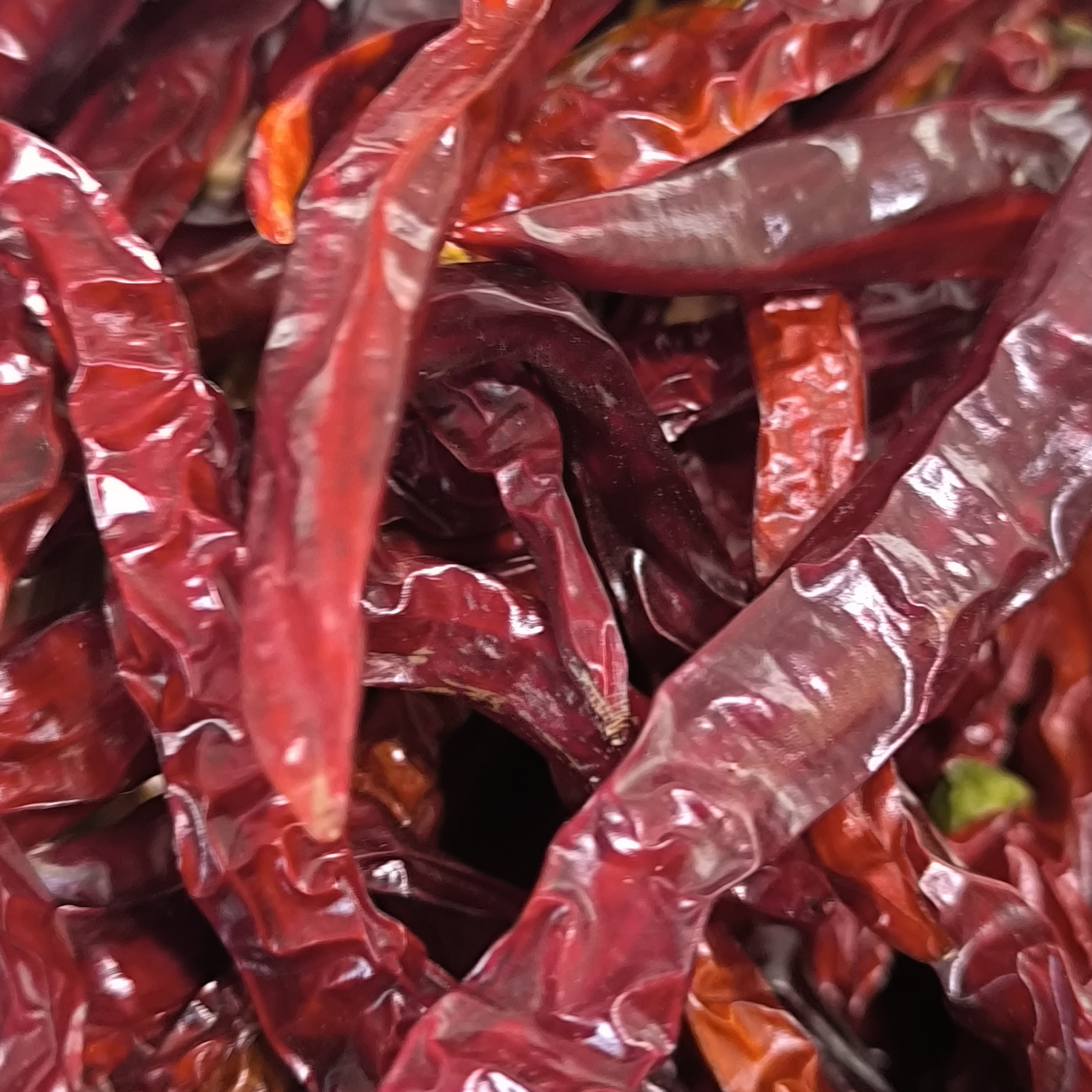 ［2025年新椒］贵州特产古老的二荆条干辣椒微辣特香正宗二荆条辣椒