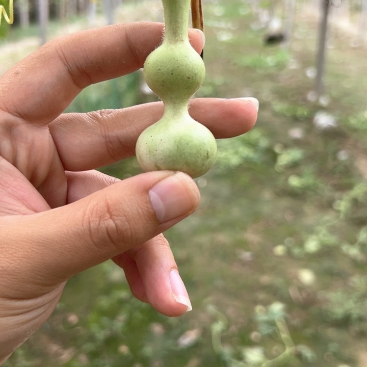 R***.葫芦葫芦葫芦葫芦
