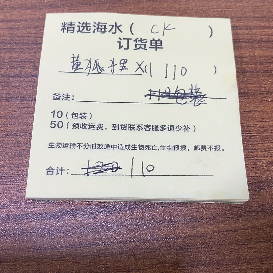 海水鱼原点黄狐狸×1