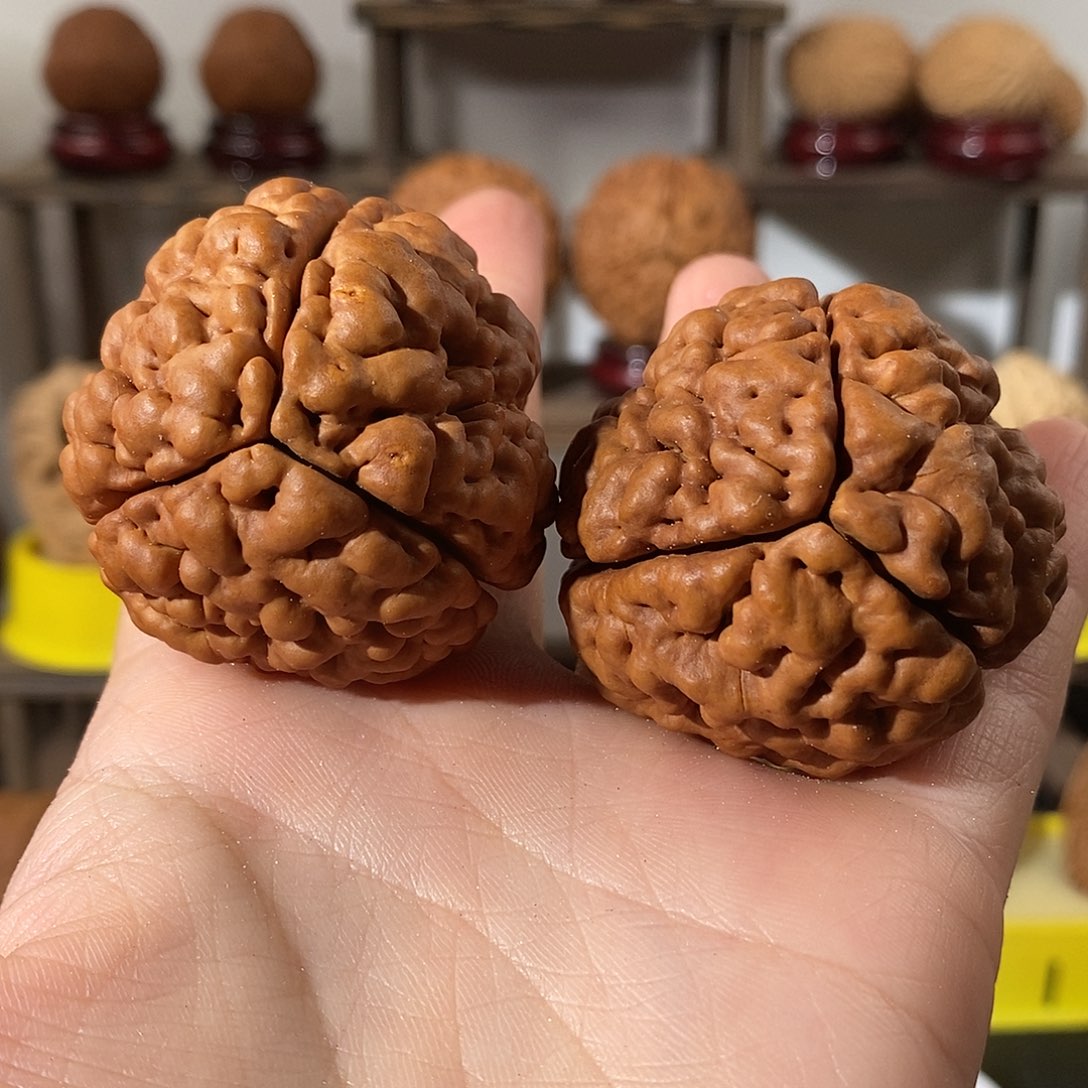 吊坠文玩核桃三瓣脑纹金刚练手微色4349