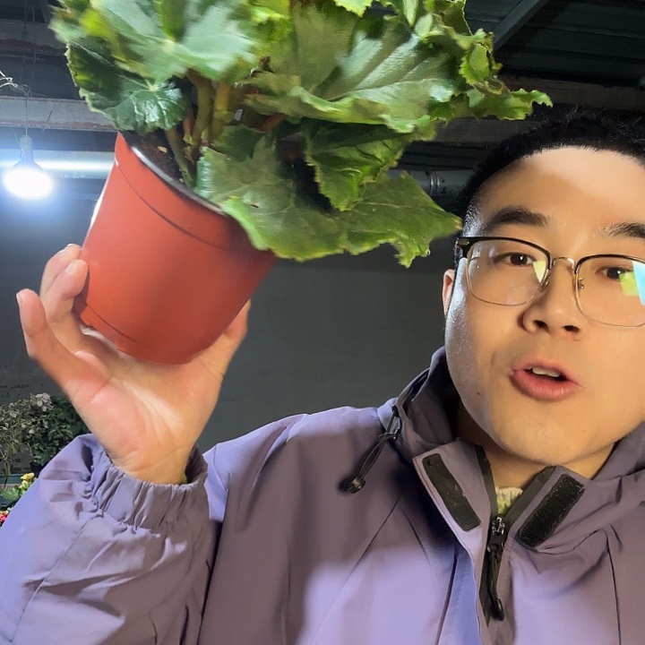 用***4完全开放公主粉包邮