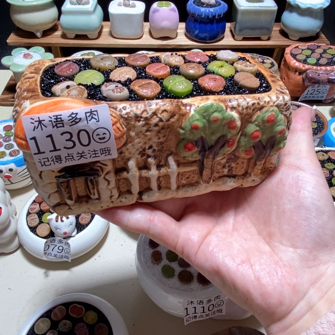 所见即所得 一物一拍 1130