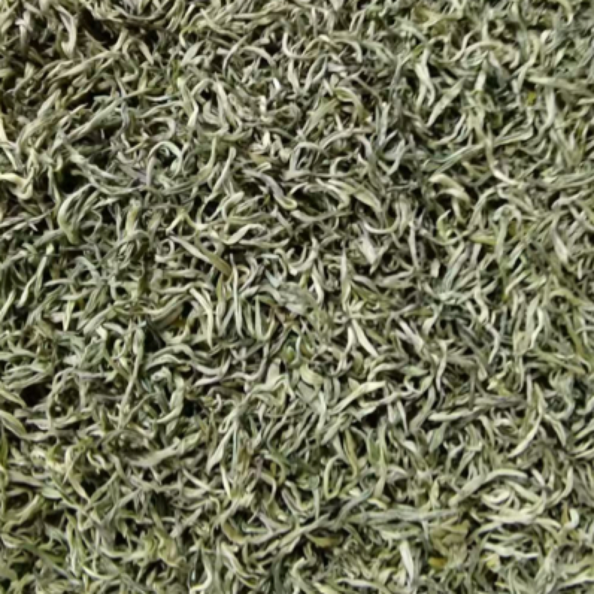 广西凤山县寿源茶茶叶绿茶红茶