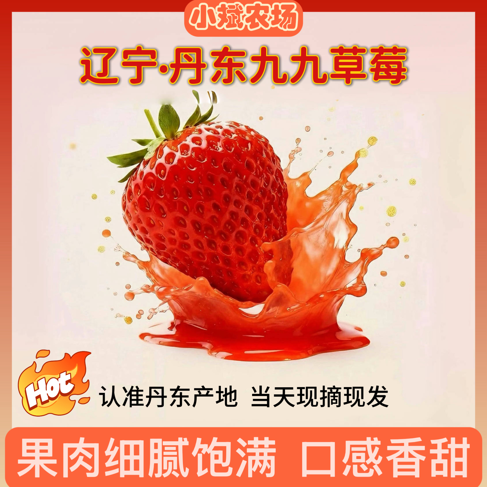 【产地直供】丹东九九大草莓现摘香甜多汁新鲜特大果草莓99大草莓
