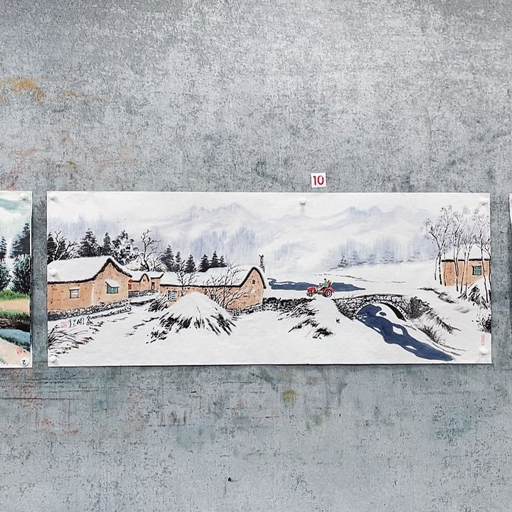 国画巴*绘画作品谭白画芯