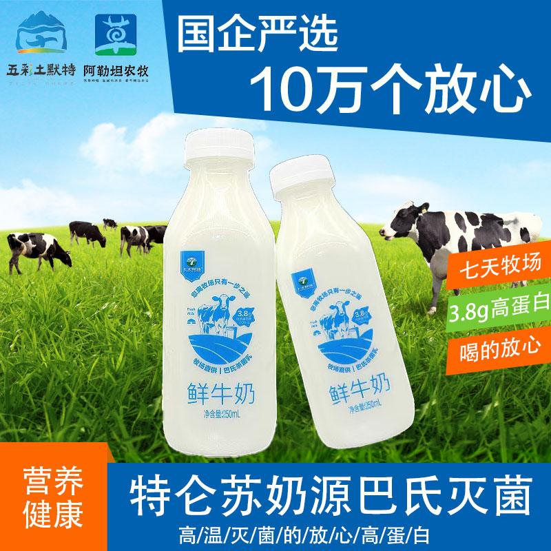 【五彩土默特】七天牧场巴氏消毒奶3.8g蛋白含量低温灭菌高营养牛奶