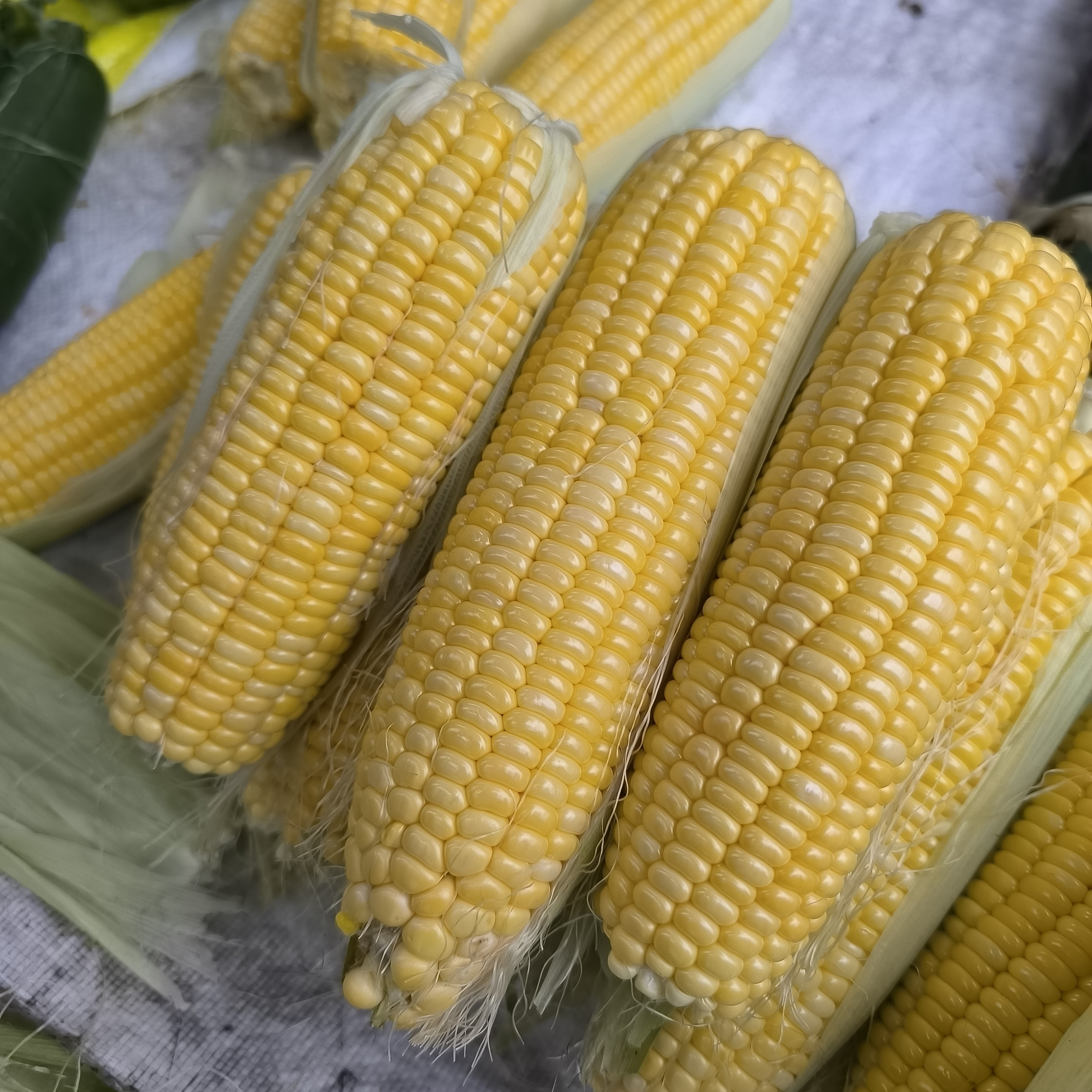 云南甜脆黄玉米  集市现收 应季蔬菜