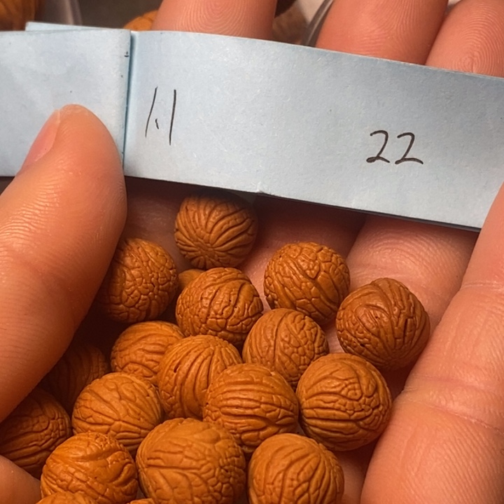 手串桃核陕西国庆桃核