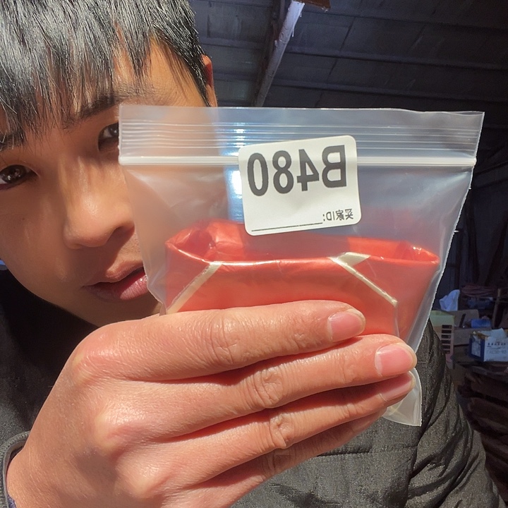 大果紫檀（缅甸花梨）480