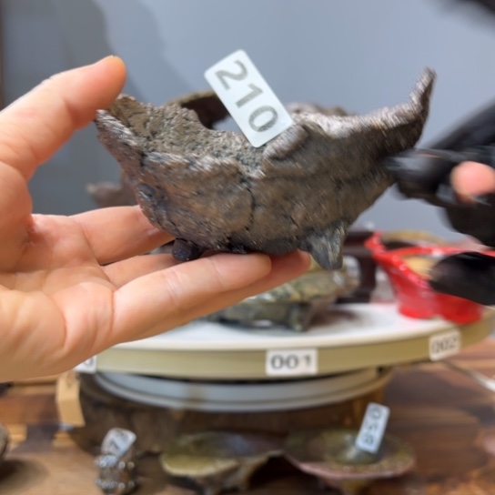 10.5x4.5////////210////